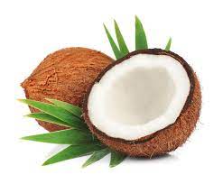 Coconut Kumta (ಕುಮಟಾ ತೆಂಗಿನಕಾಯಿ)