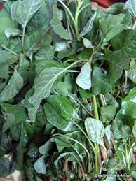 kiriksaali Bunch(ಕಿರೀಕ್ಸಾಲಿ)